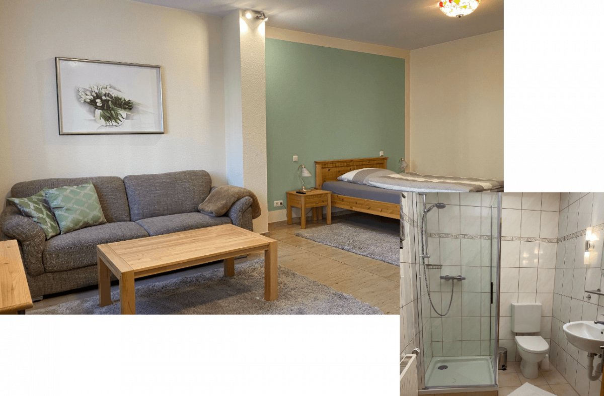 Möbliertes 1-Zimmer-Apartment in Mainz-Kostheim